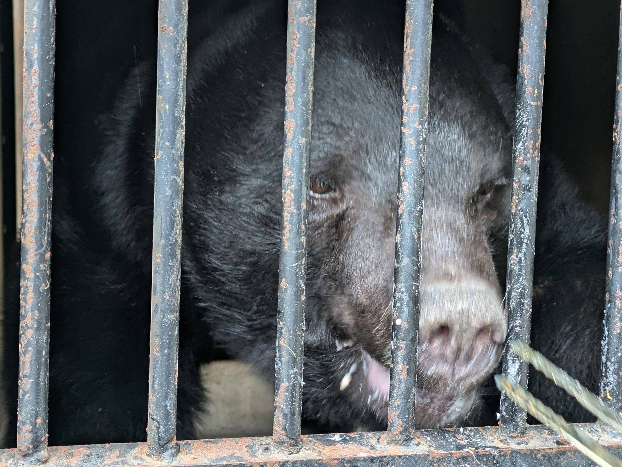 サンペイ輸送箱馴致手順書の写真