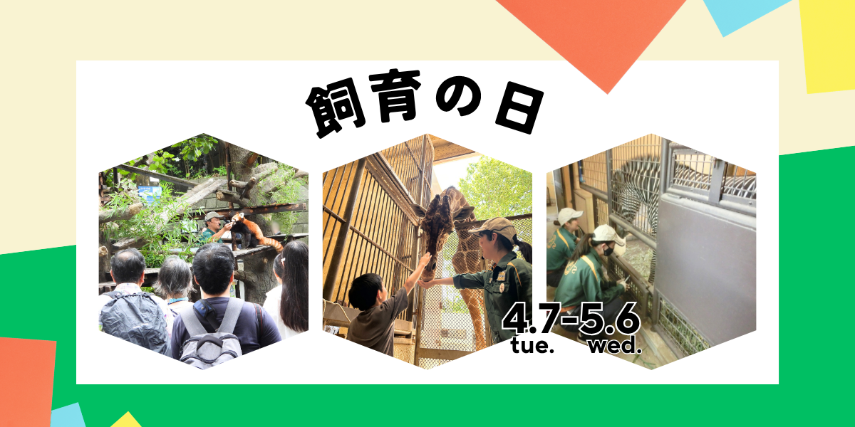 のげやま飼育の日2026の写真