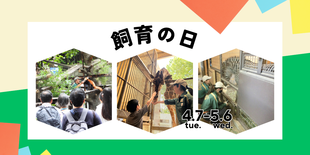 のげやま飼育の日2026