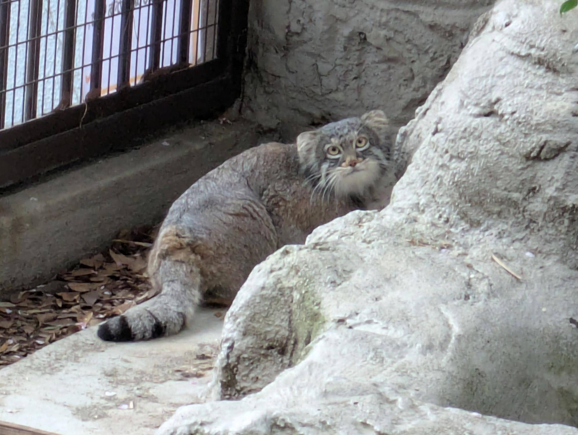 餌も食べない頑固者の写真