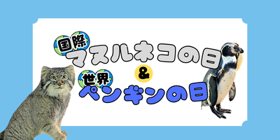 国際マヌルネコの日＆世界ペンギンの日　イベントの画像