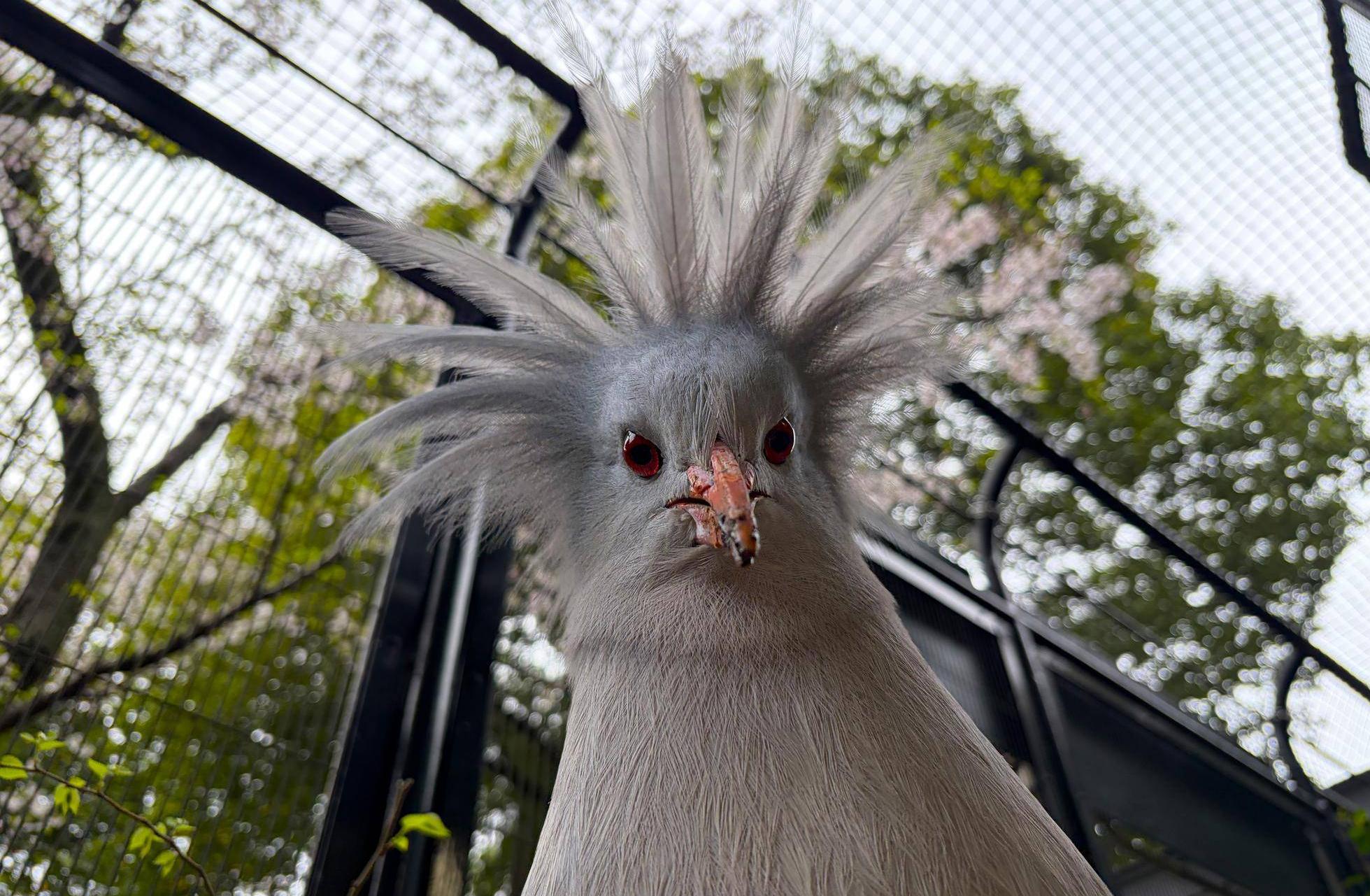 桜とともに満開‼🌸の写真