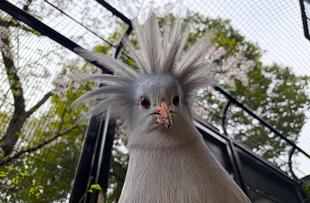 桜とともに満開‼🌸