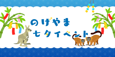  のげやま七夕イベント2026の画像