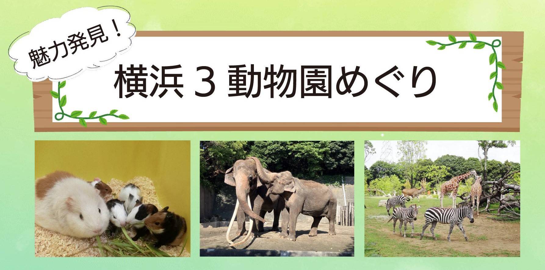 2026「魅力発見！横浜3動物園めぐり」の写真