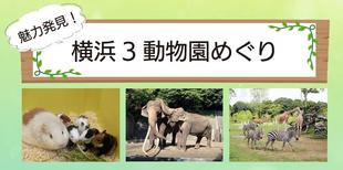 2026「魅力発見！横浜3動物園めぐり」