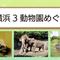 2026「魅力発見！横浜3動物園めぐり」の画像