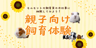 親子向け飼育体験　参加者募集