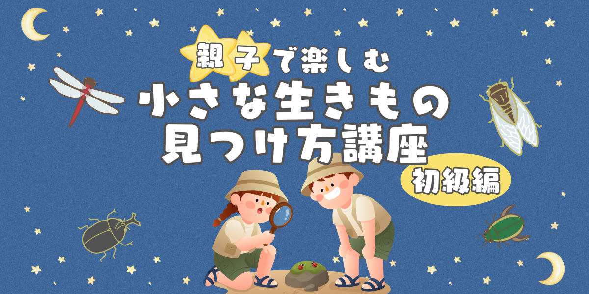 親子で楽しむ！小さな生きもの見つけ方講座の写真