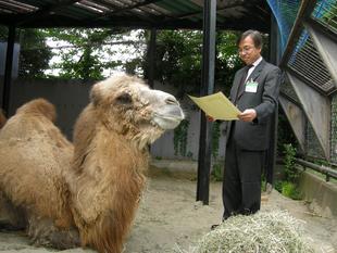 【野毛山物語⑨】平成～令和の野毛山動物園