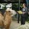 【野毛山物語⑨】平成～令和の野毛山動物園の画像