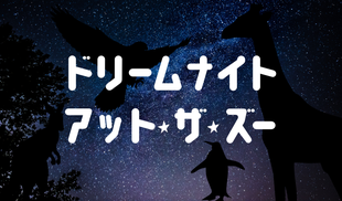 ドリームナイト・アット・ザ・ズー