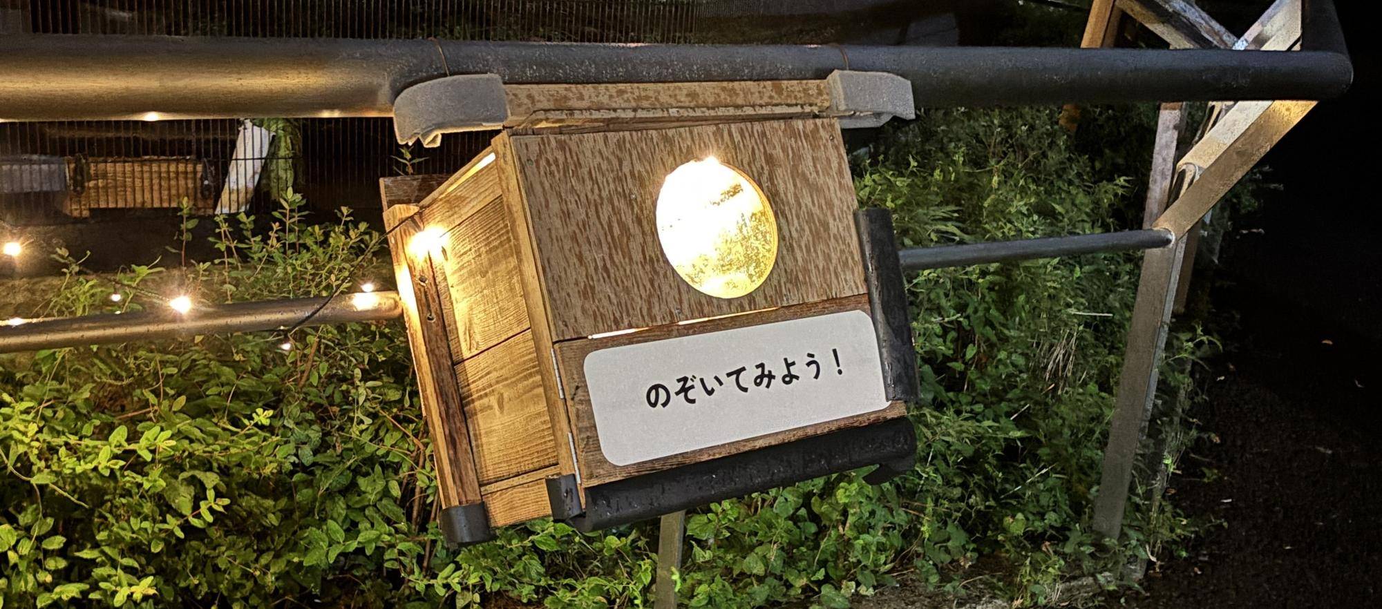 光るボックスには何が入ってる？の写真