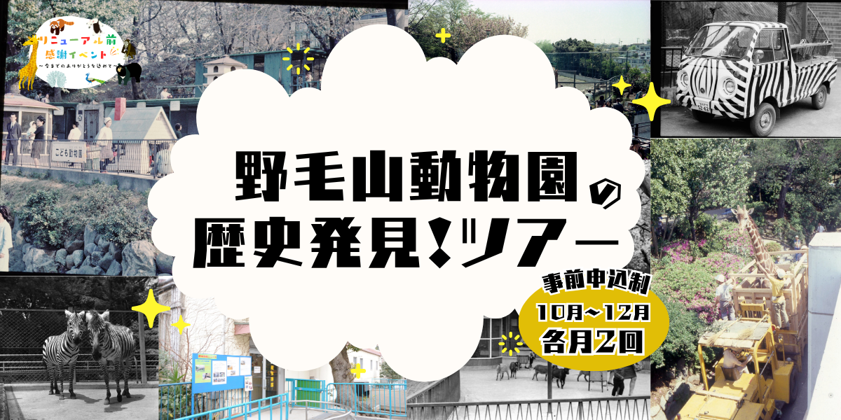 野毛山動物園の歴史発見！ツアー　参加者募集の写真