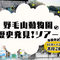 野毛山動物園の歴史発見！ツアー　参加者募集の画像