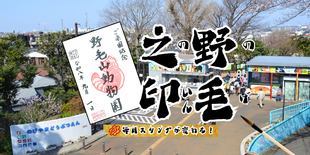 【ご来園記念】野毛之印（のげのいん）の９月の絵柄はレッサーパンダ！