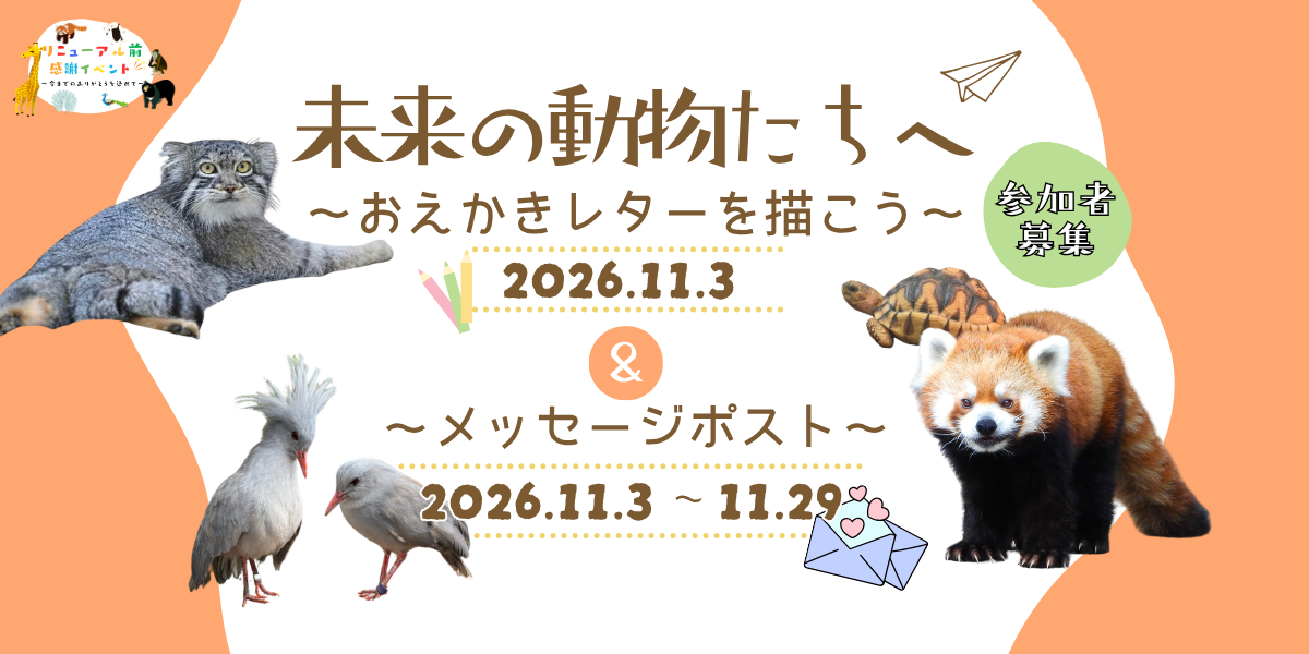 未来の動物たちへ～おえかきレターを描こう～（参加者募集）の写真