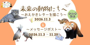 未来の動物たちへ～おえかきレターを描こう～（参加者募集）