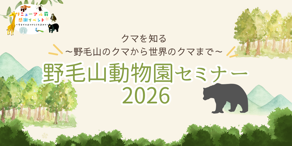 【参加者募集】野毛山動物園セミナー2026「クマを知る～野毛山のクマから世界のクマまで～」の写真