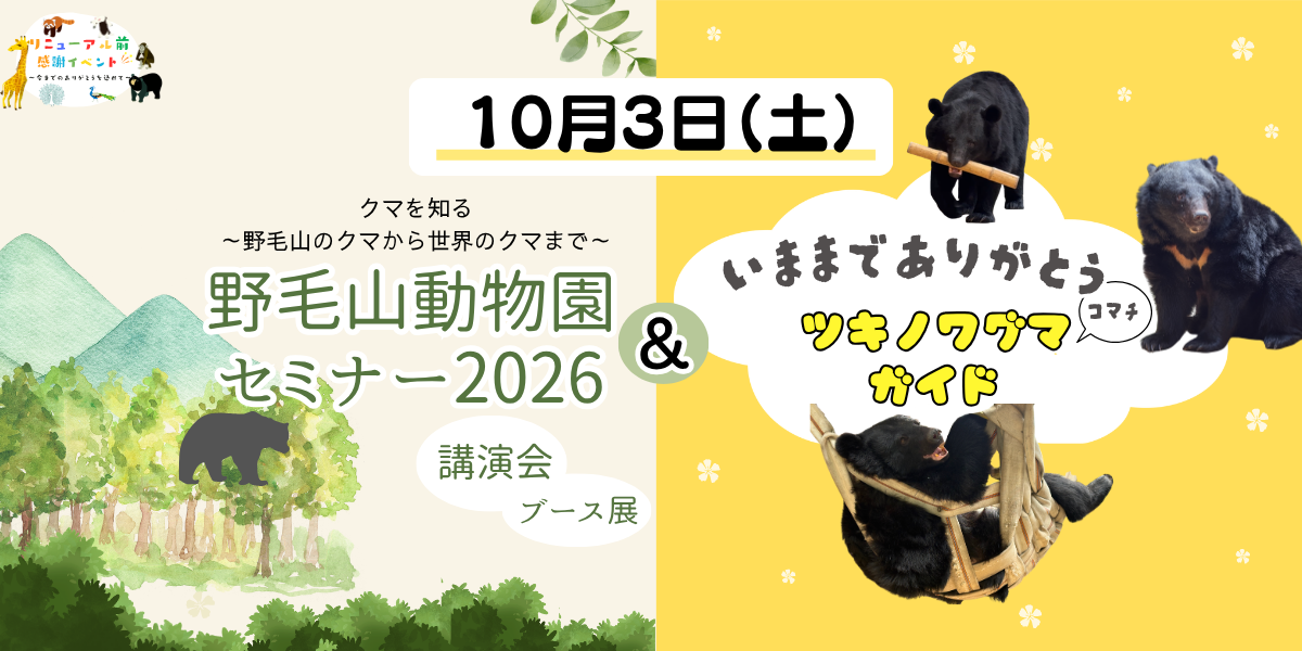 野毛山動物園セミナー2026&今までありがとうツキノワグマ（コマチ）ガイドの写真