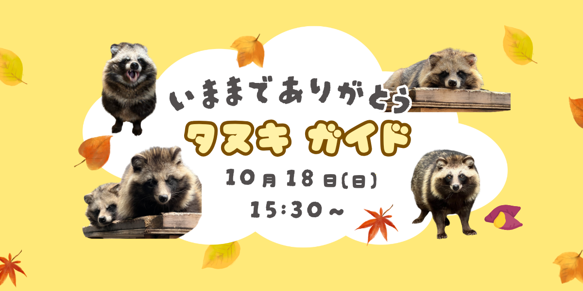  今までありがとう　タヌキガイドの写真
