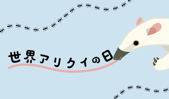 世界アリクイの日イベントの画像