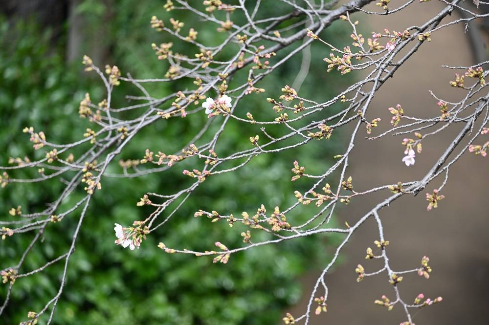 は虫類館 (2).jpg