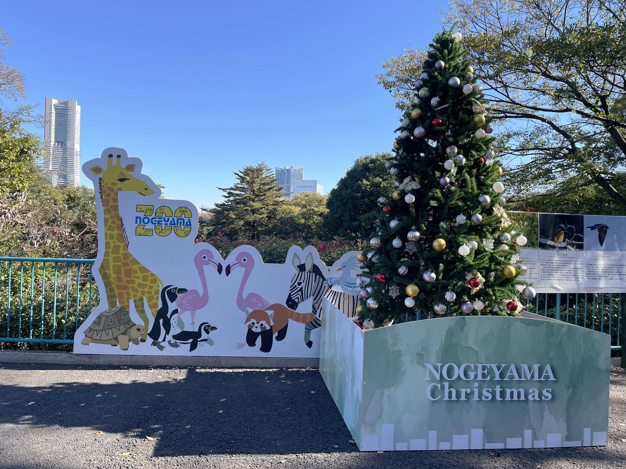 A03F61EF-9BCE-40FF-9CF1-8AB9B62A5247 - コピー.jpeg