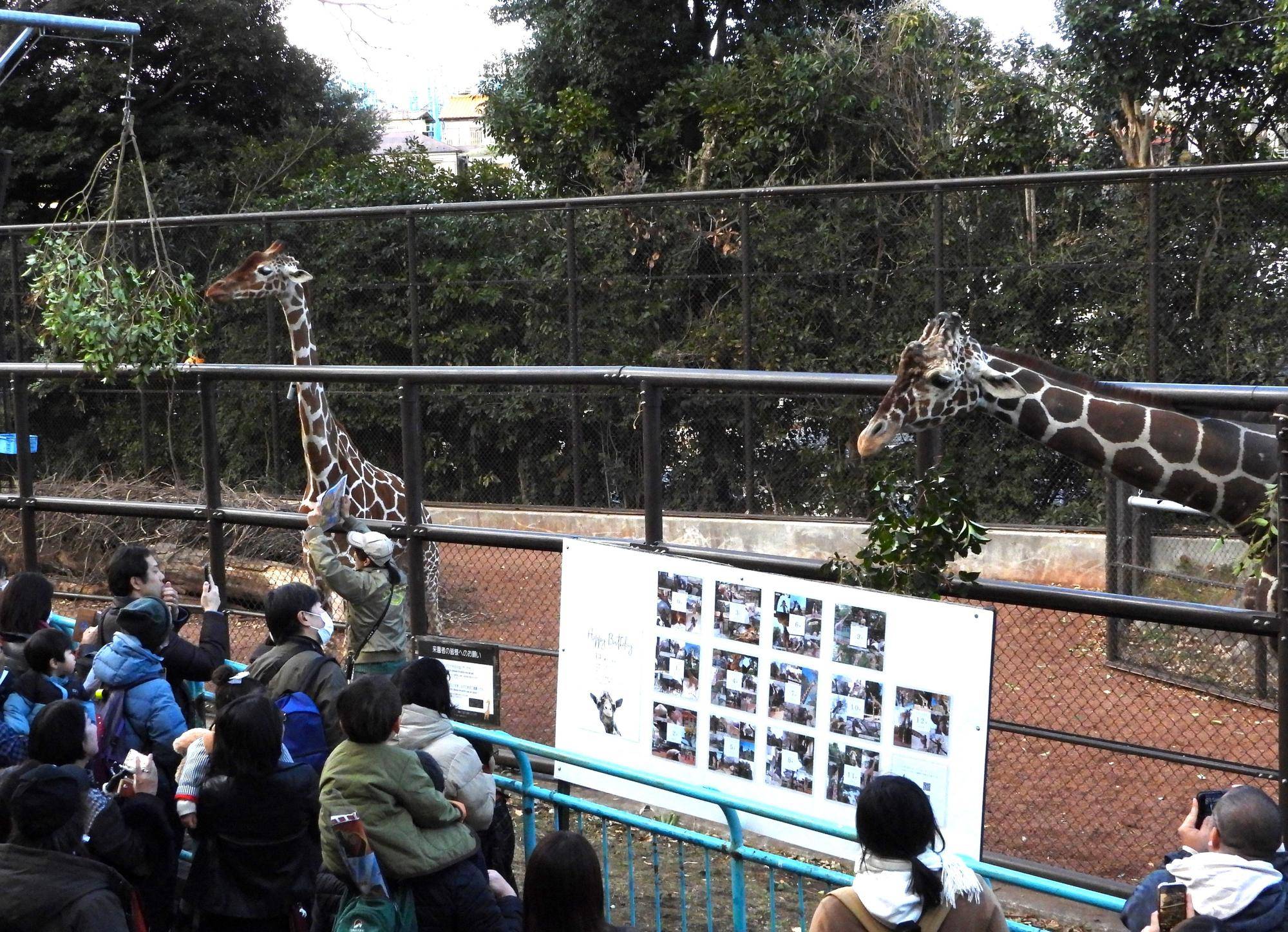 パネル展・ガイド