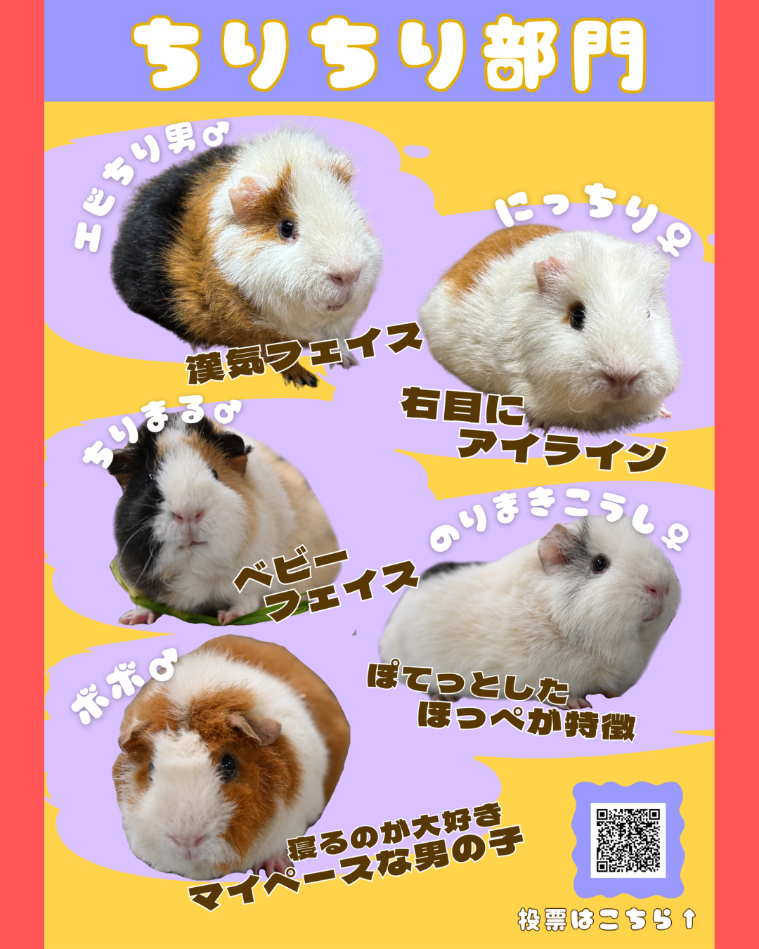 0のげプイ総選挙 (3).png