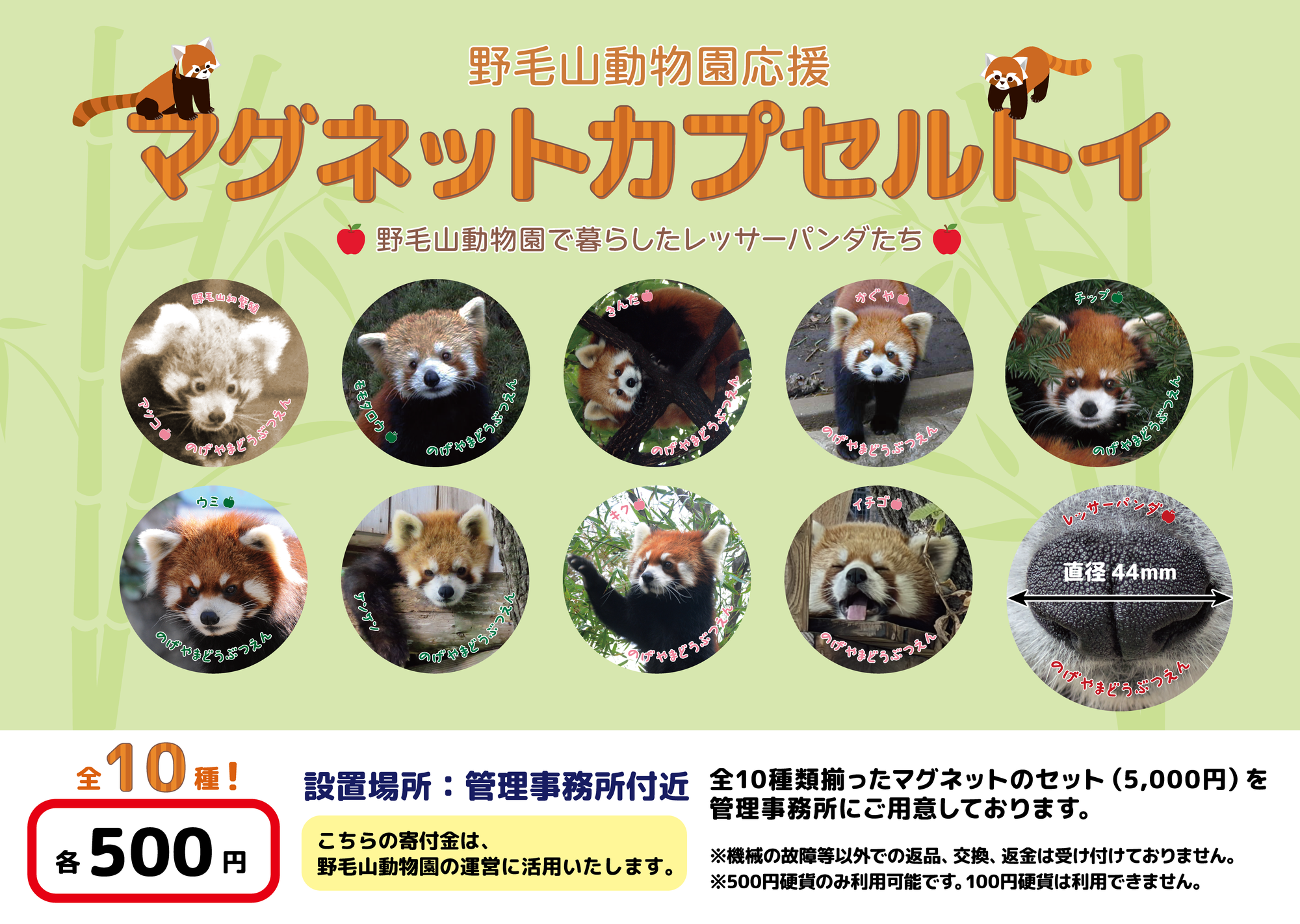 レッサーポスター-01.png
