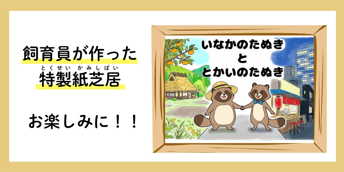 たぬきイベント.png