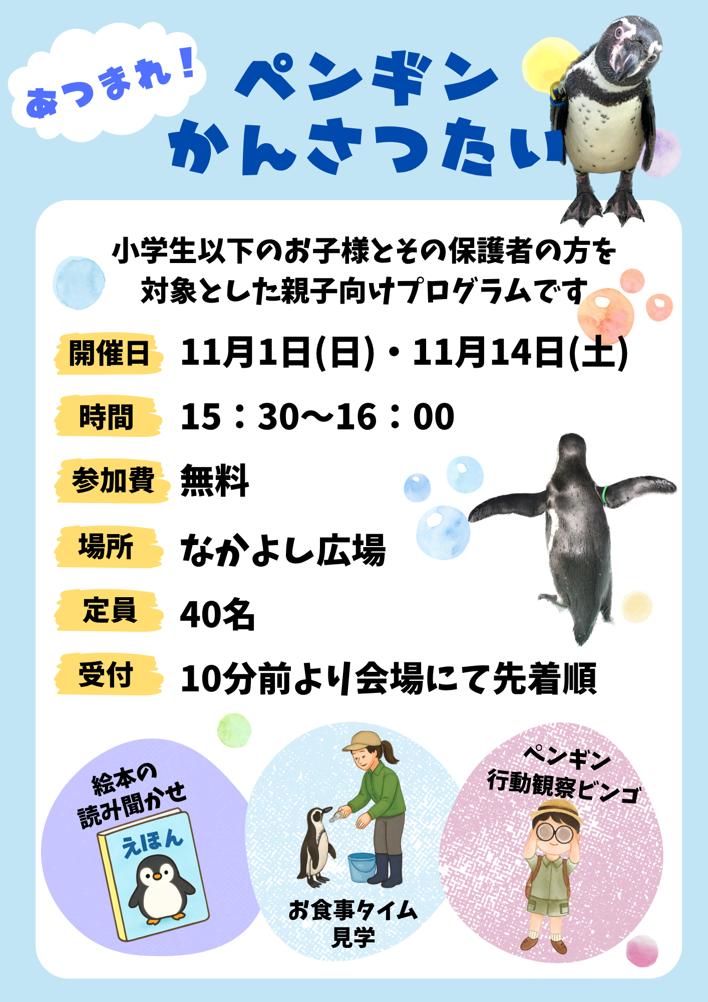 ペンギンペンギンかんさつたい2026.png