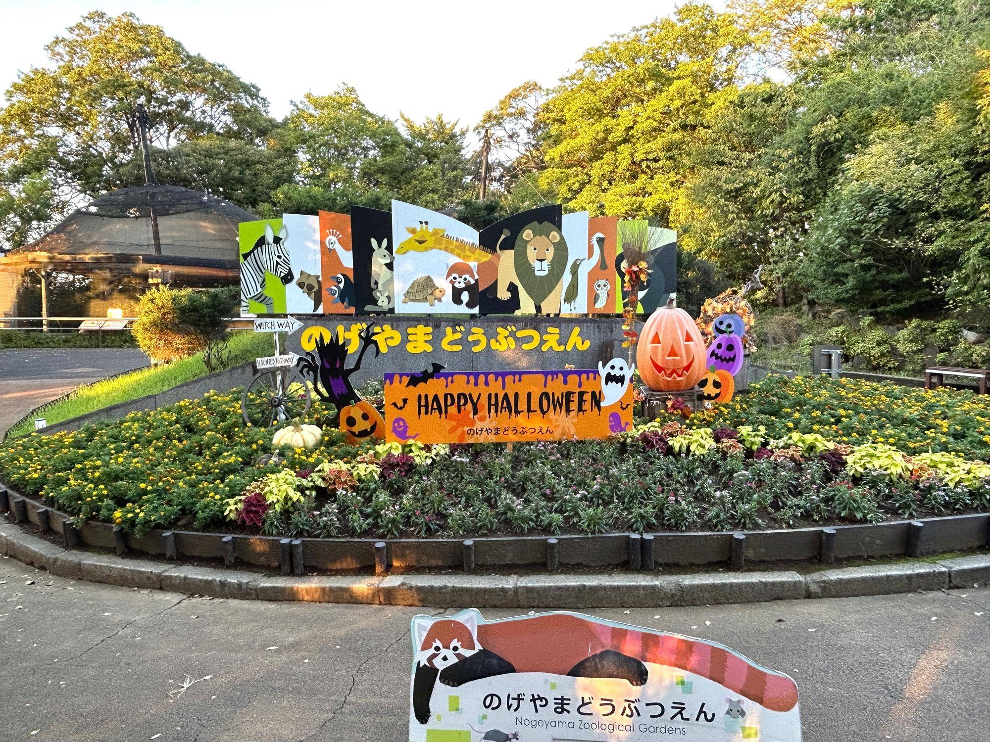 ハロウィン装飾.jpg