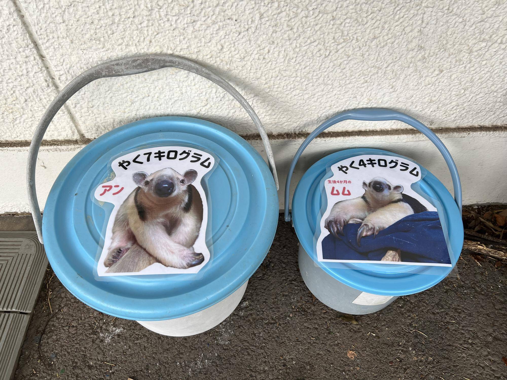ハンズオン