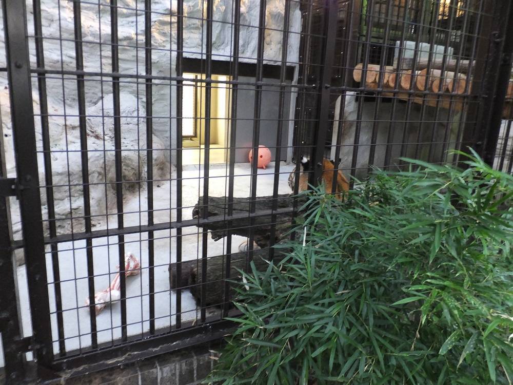 2016 ブログ トピック 08179.jpg