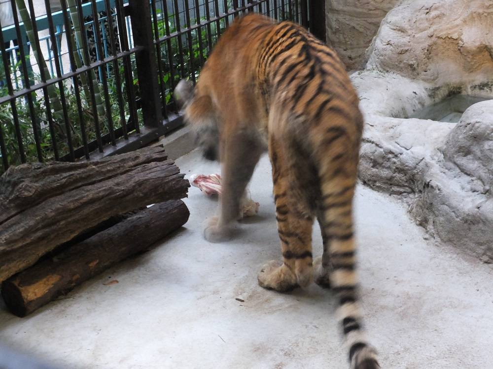 2016 ブログ トピック 08178.jpg