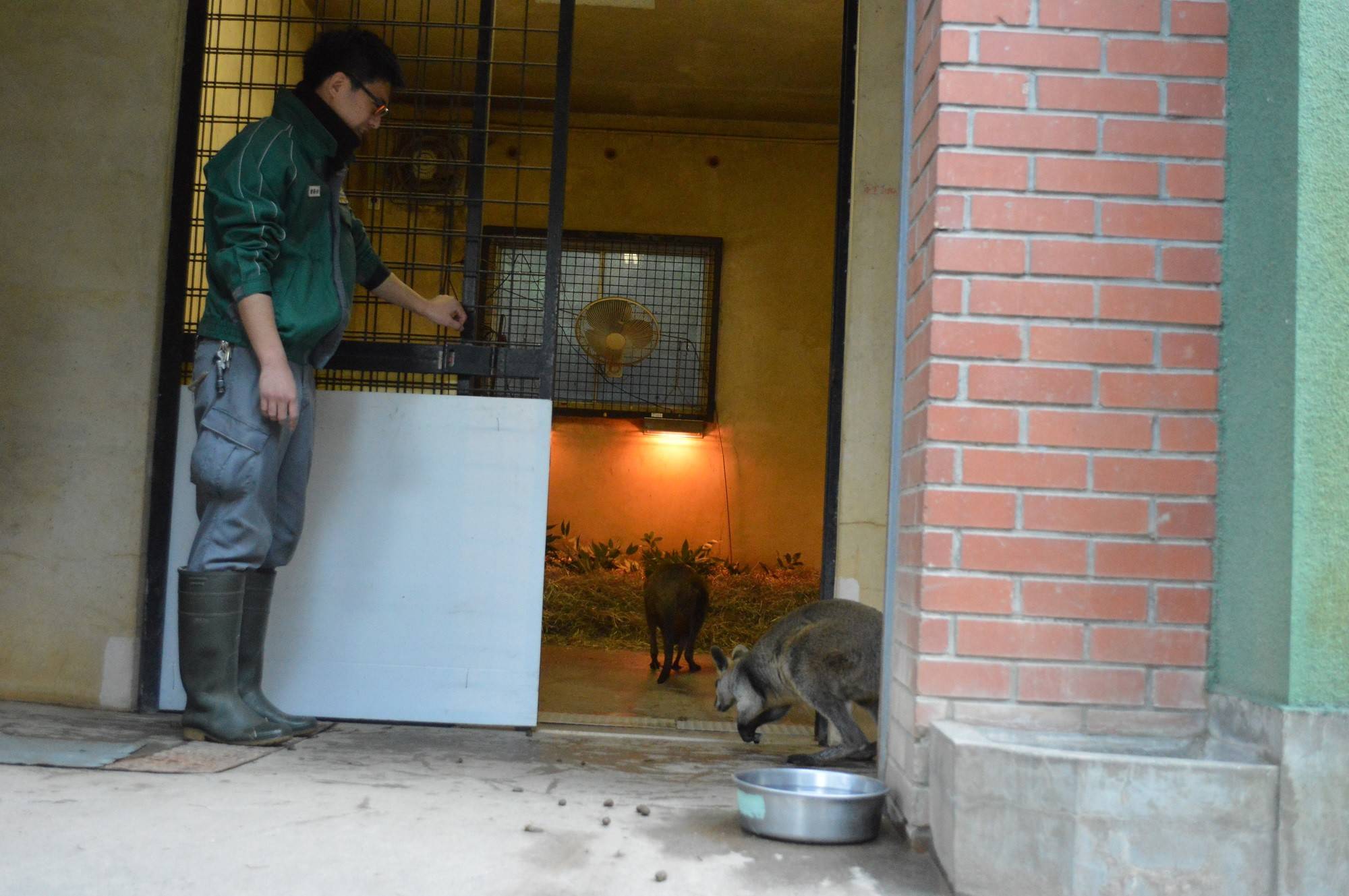 2016 ブログ トピック 0206④.jpg