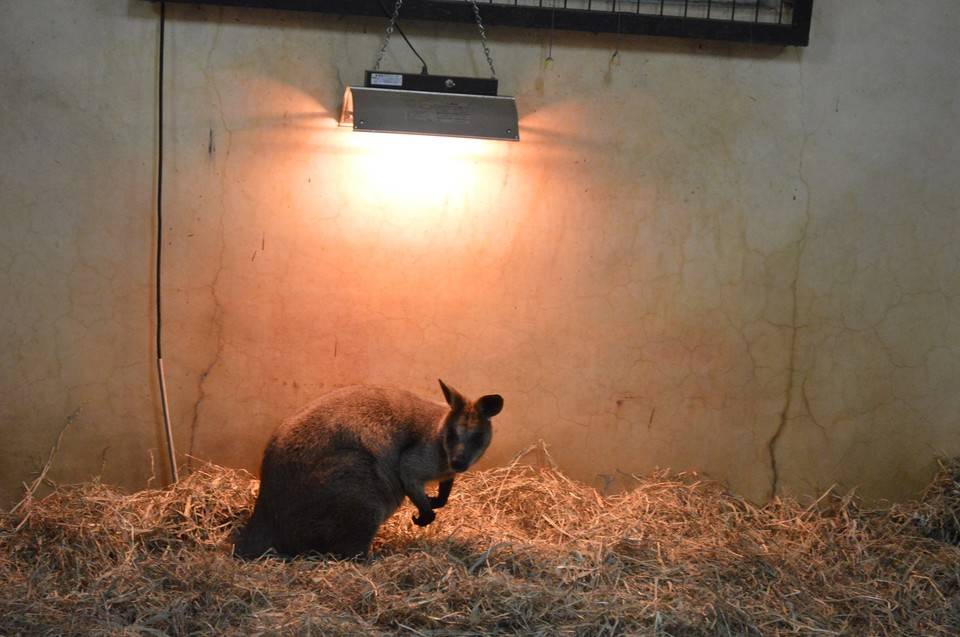 2016 ブログ トピック 0206⑥.jpg