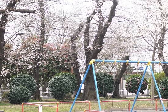展望地区遊具広場(3月21日).jpg