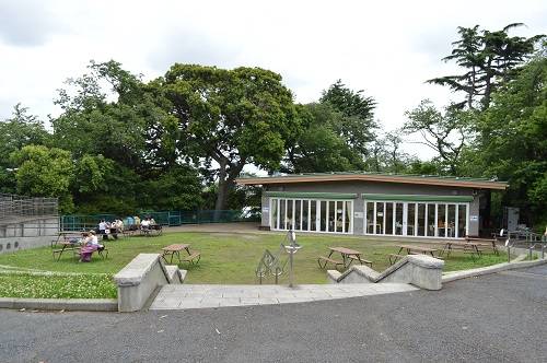 園内見どころ_ひだまり広場.jpg