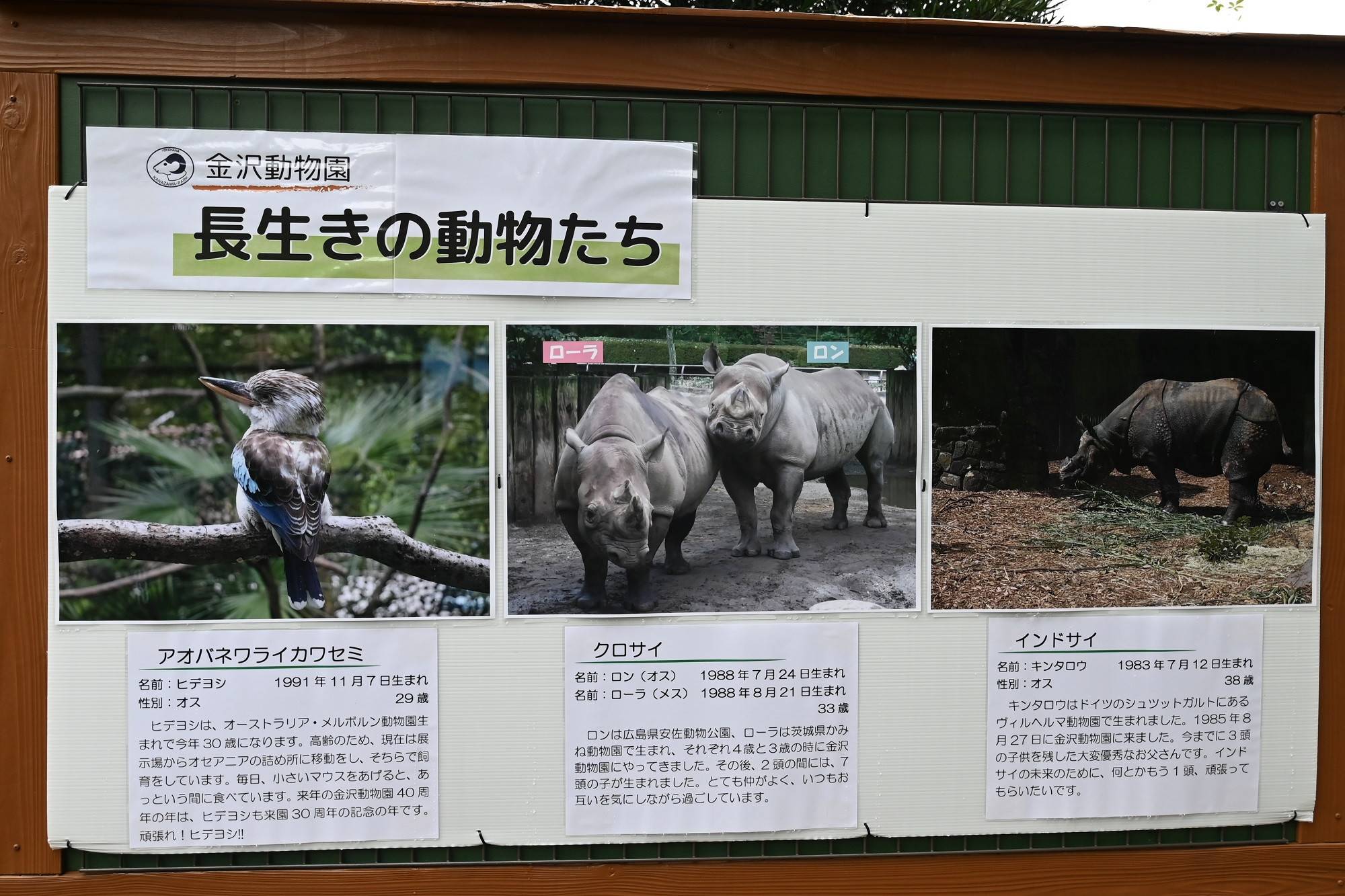 (金沢:長生きの動物たち).jpg