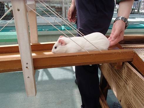 2016 ブログ なかよし 071408.jpg