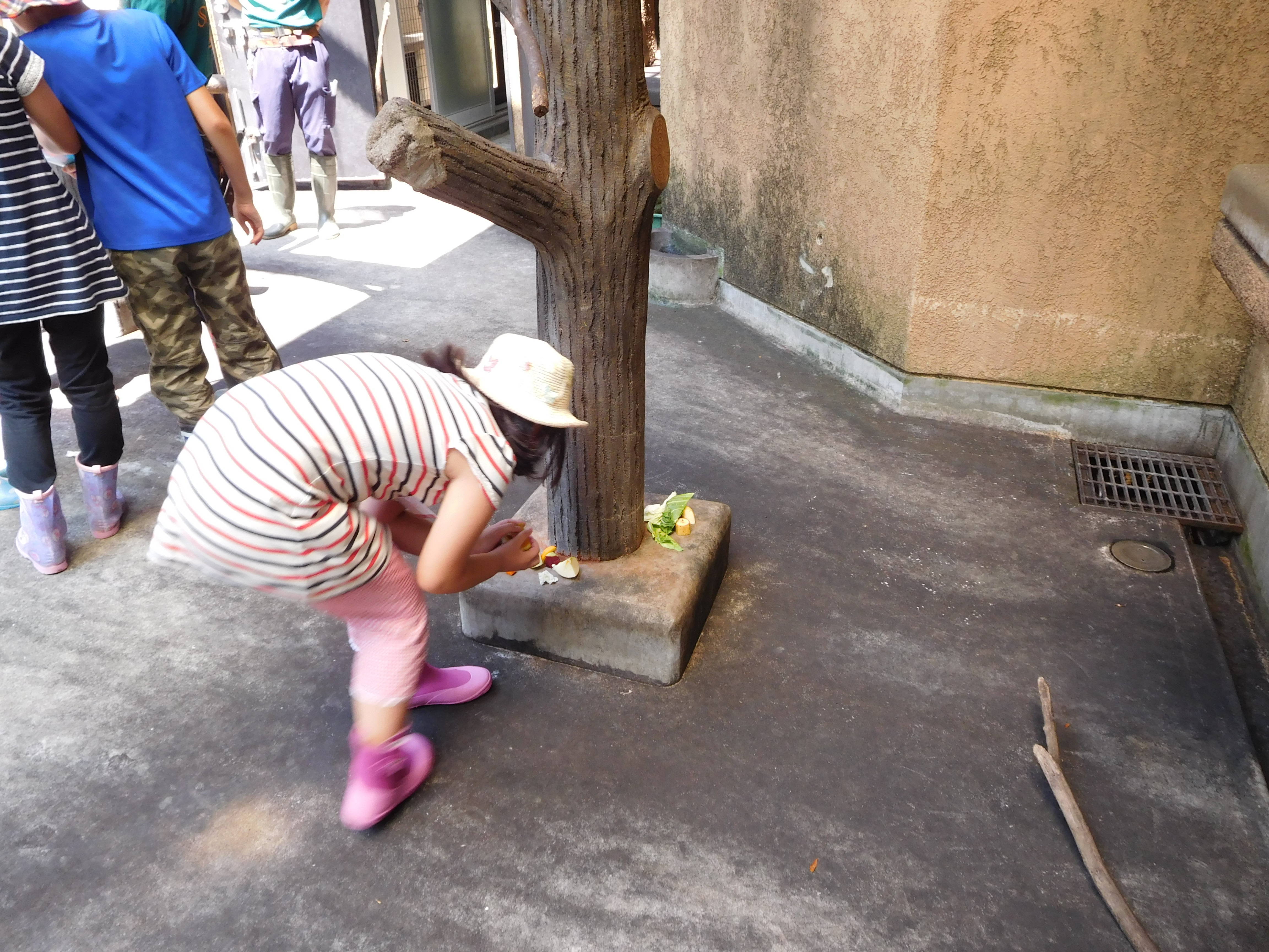 2016 ブログ トピック 0815③.jpg