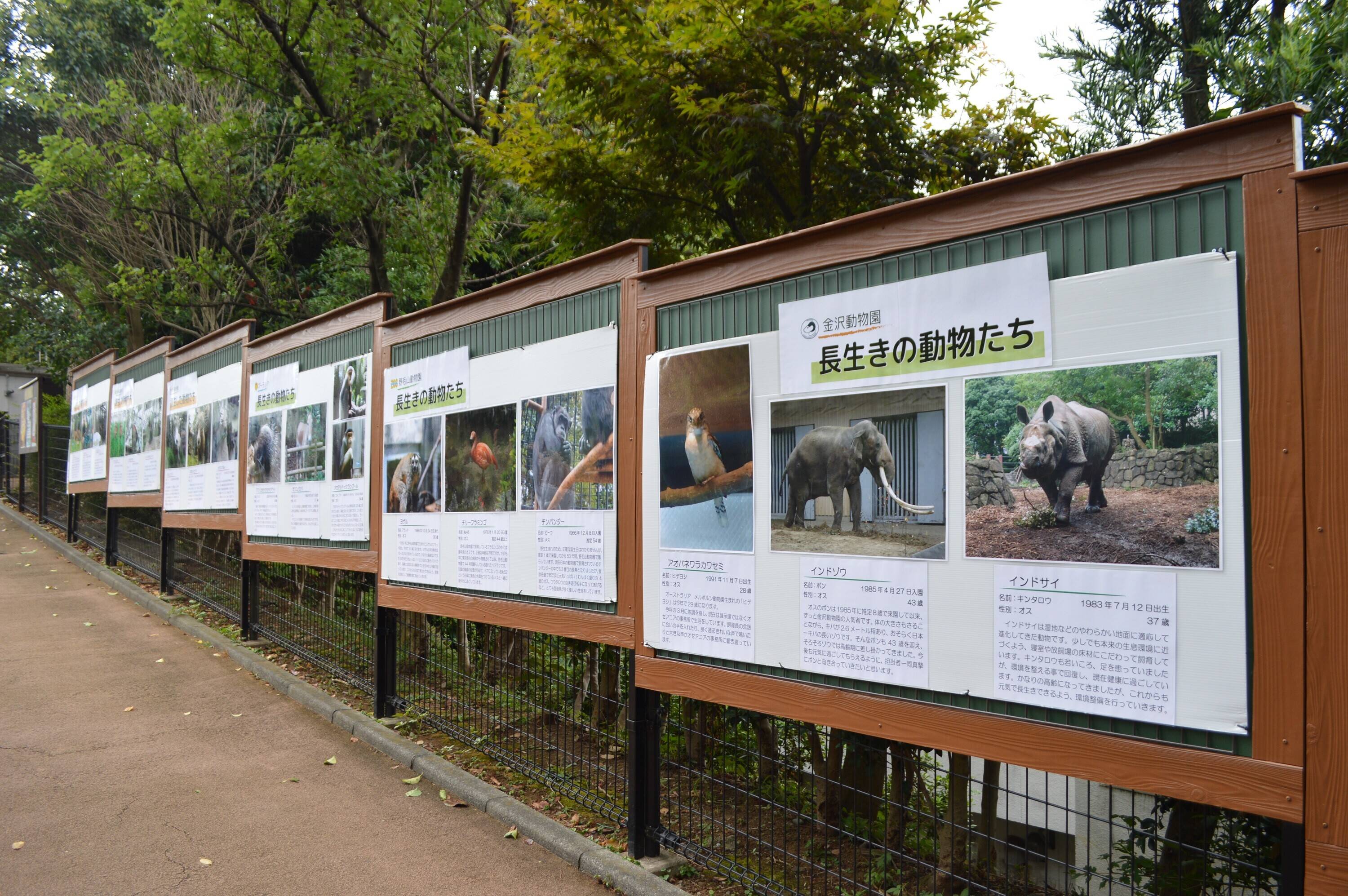 パネル展 (2).jpg