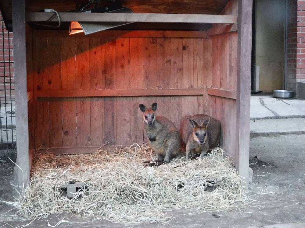 2016 ブログ トピック 0206①.jpg