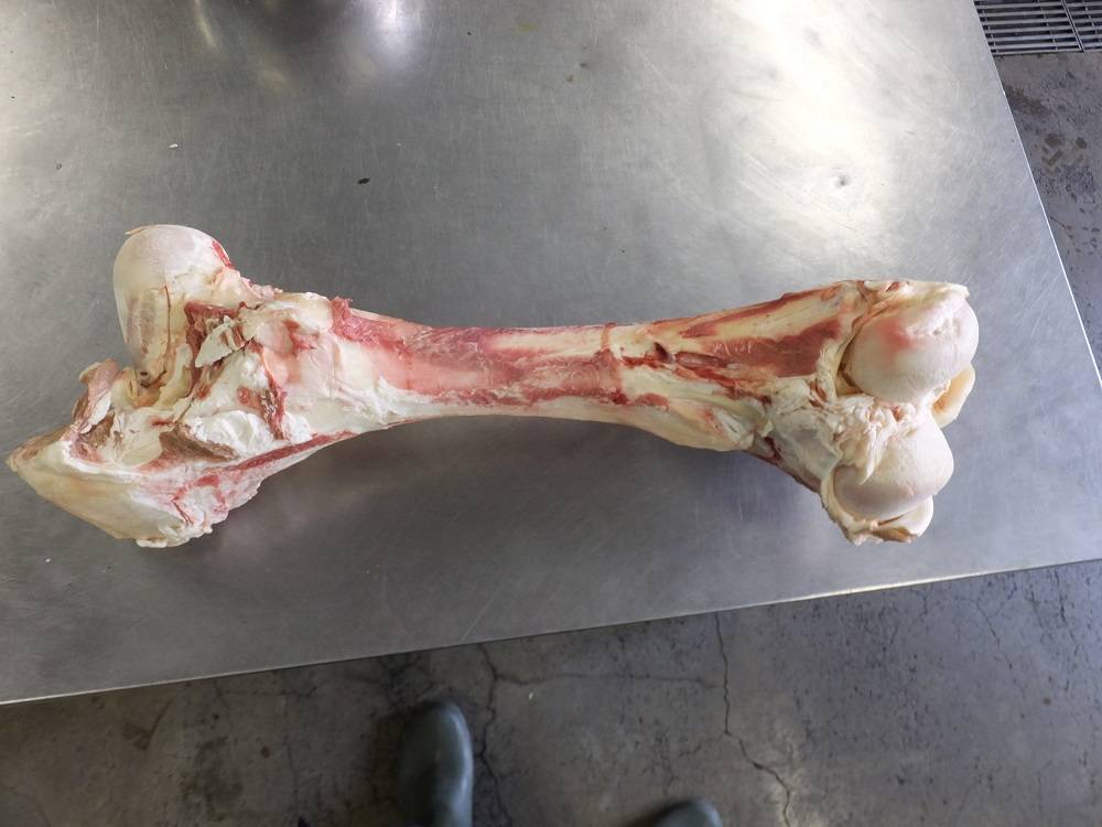 2016 ブログ トピック 0817 1.jpg