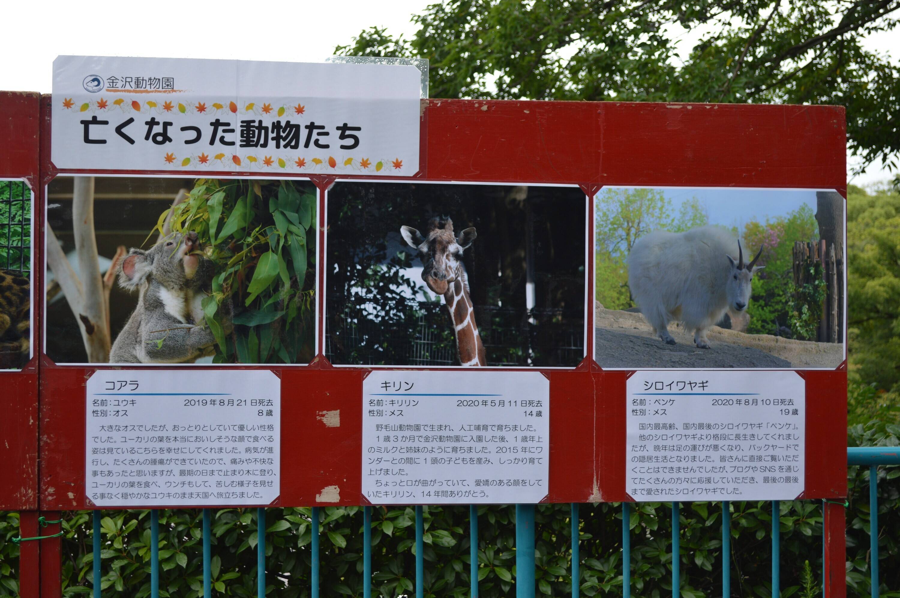 パネル展 (5).jpg