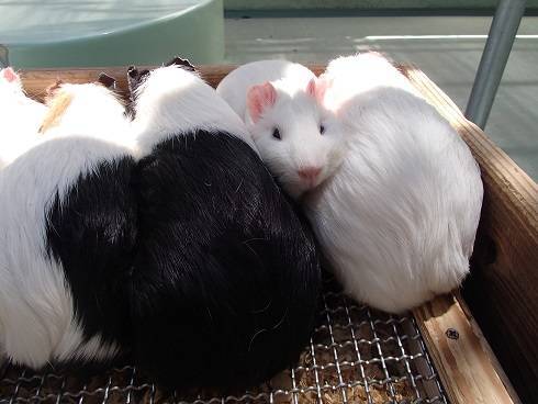 2016 ブログ なかよし 071406.jpg