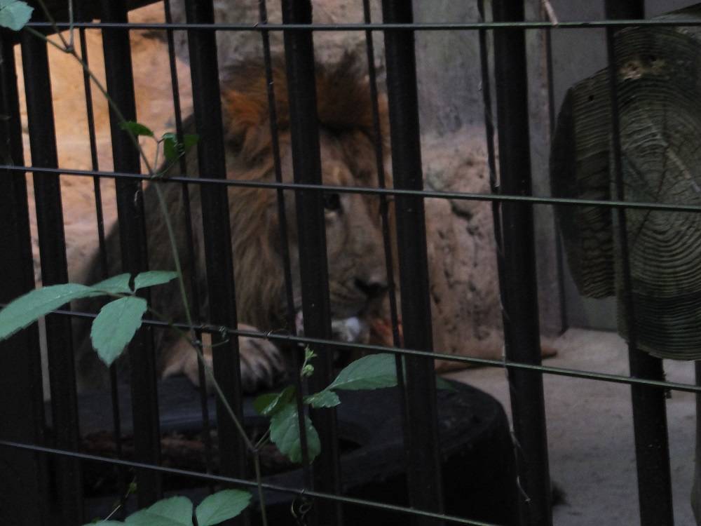 2016 ブログ トピック 08175.jpg